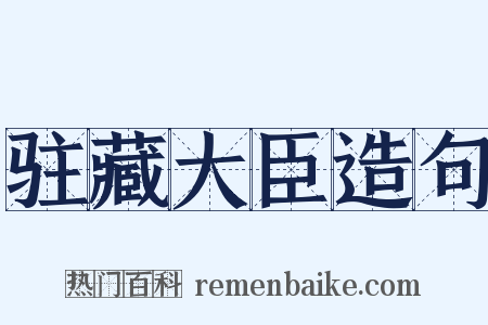 驻藏大臣造句是什么意思的图片